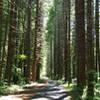 The climb towards Stub Stewart State Park is always beautiful.