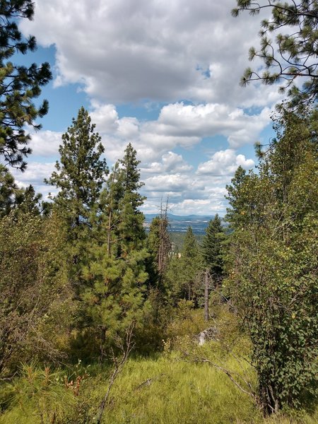 A view of the Valley and very nearly Mt. Spokane.