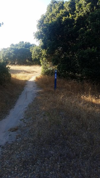 Monterey County Trail 57