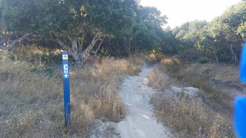 Monterey County Trail 92