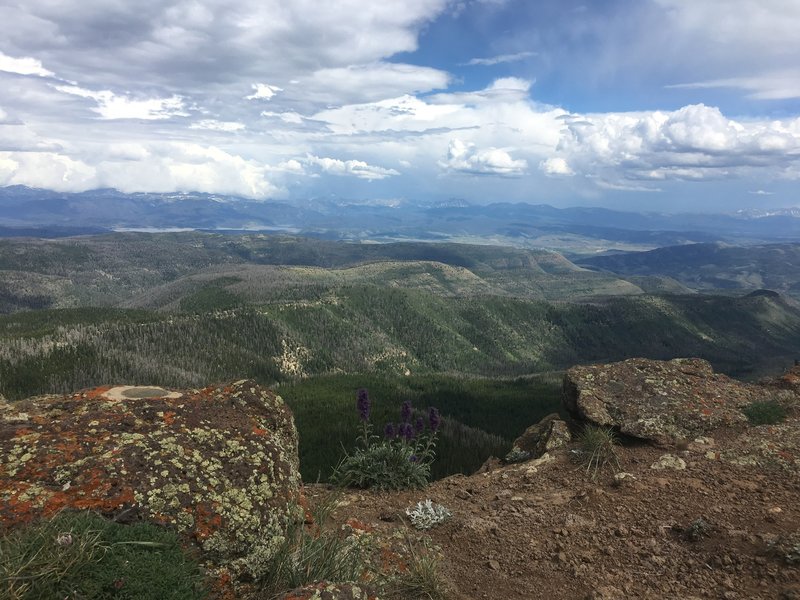 At the top of Elk Mountain - gorgeous views up here