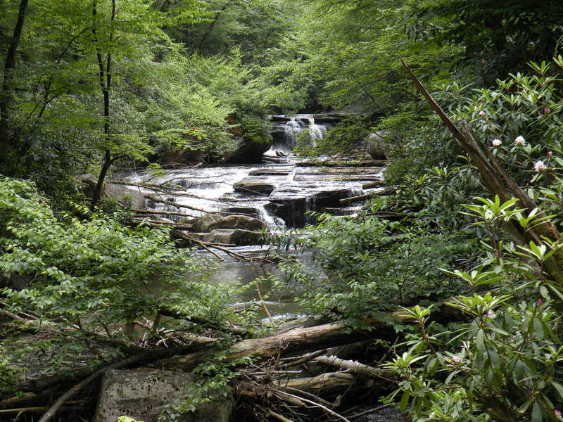 One of the many waterfalls to behold on Otter Creek. If you look closely, there is even the more numerous rhododendron in bloom.