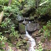 "Just how many picturesque waterfalls can we see on this hike?" said the Dad to his son.