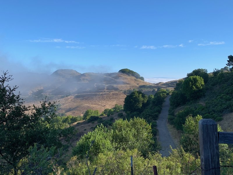 Fog burning off over the hills.