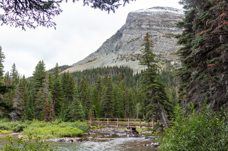 Bridge across the inlet of Swiftcurrent Lake.