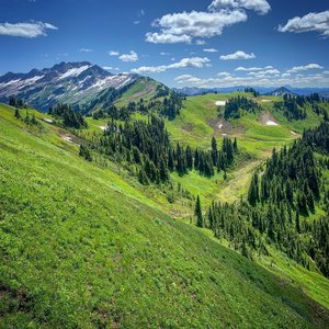 White Pass to Pilot Ridge Loop Hiking Trail, Skykomish, Washington