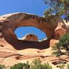 This shot of Arch 4 shows the carved steps used to exit the canyon. Steps are left of center just above shrubs.