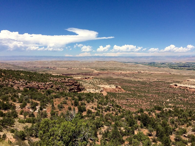 View North to the Colorado River and Horse Thief Bench beyond. From the mesa top above the arches.