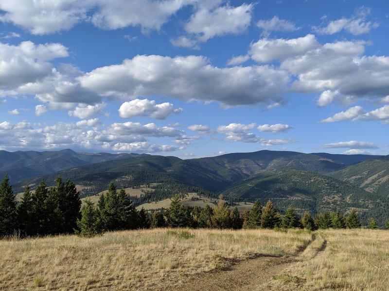 Northward view from Mt. Jumbo summit.