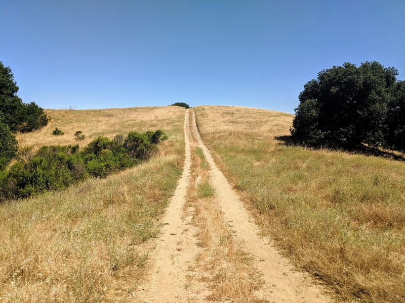 On the ridge (Table Top Trail).