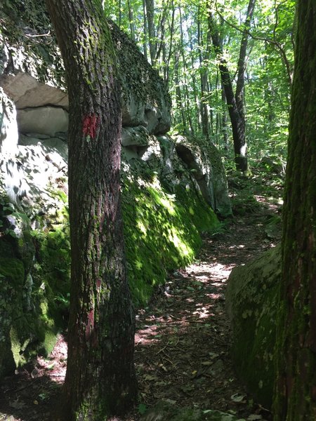 Boulder garden on Baughman Trail.