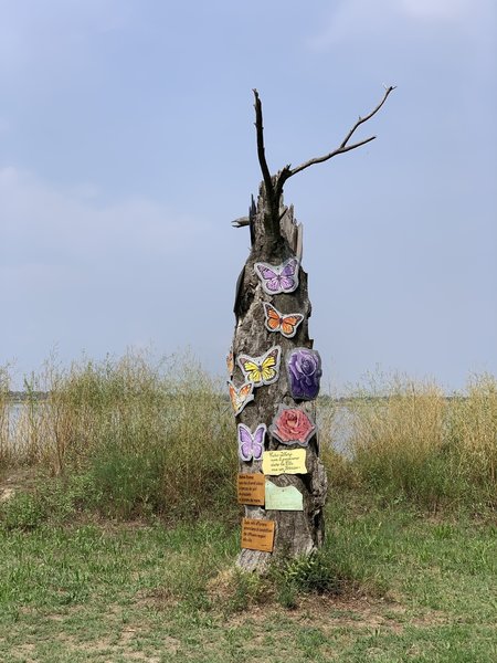 Decorated dead tree.