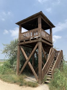 Observation tower.