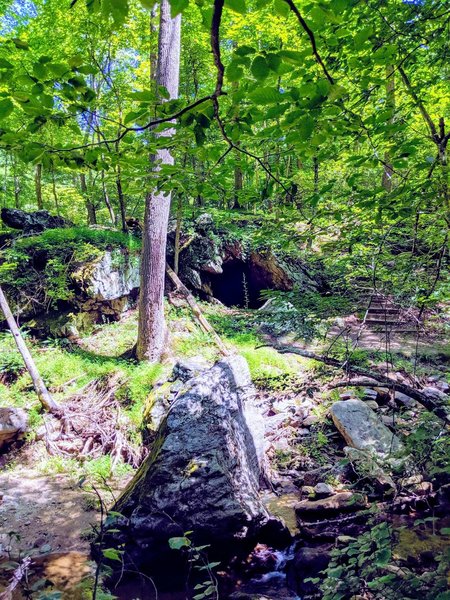 View of Daniels Cave from across the stream.