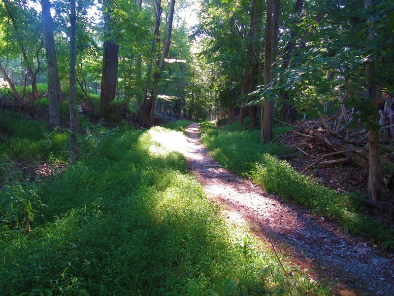 View down Old Park Road Trail near south trailhead.