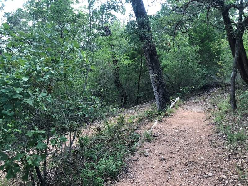 The trail winds a bit at the beginning to provide a gentle downwards slope.