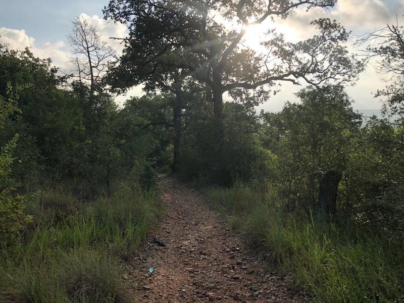 I would advise doing this trail in the morning for cooler weather and beautiful views!