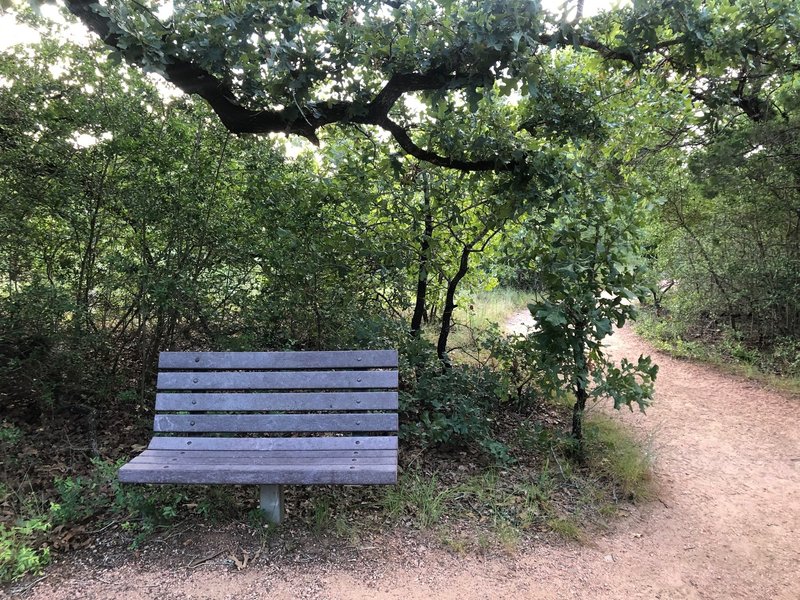 There are many benches along the trail to stop and take a break at.