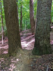 Tight fit along the Daniels Trail.