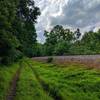 View headed north along the Railroad Access Road Trail.