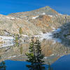 Rugged shoreline of Rutherford Lake.