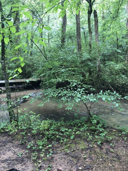 The first of two wooden bridges on the trail. This one leads to a clearing with benches. (Quite nice for a picnic also.)