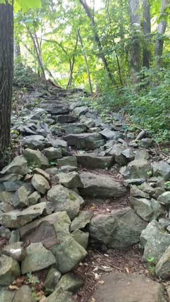 Trail stairs.