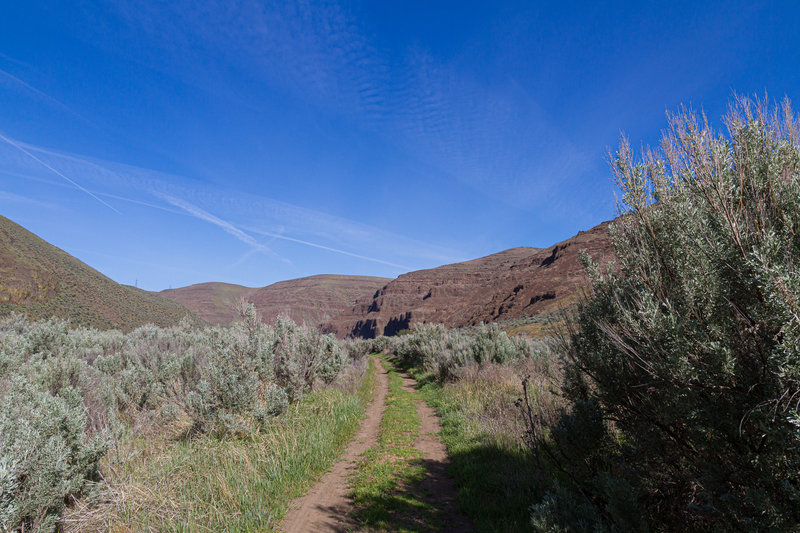 About halfway along the Pinnacles Trail.