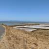 The Bayview Trail intersects the Alameda Creek Trail.