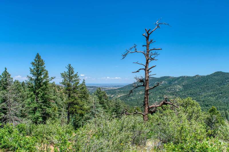 A view from Mace Trail