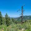 A view from Mace Trail