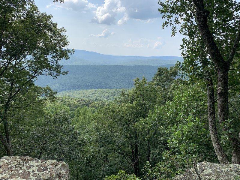 Observation Point