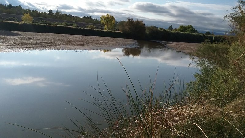 View of the Rio Grande in the winter.