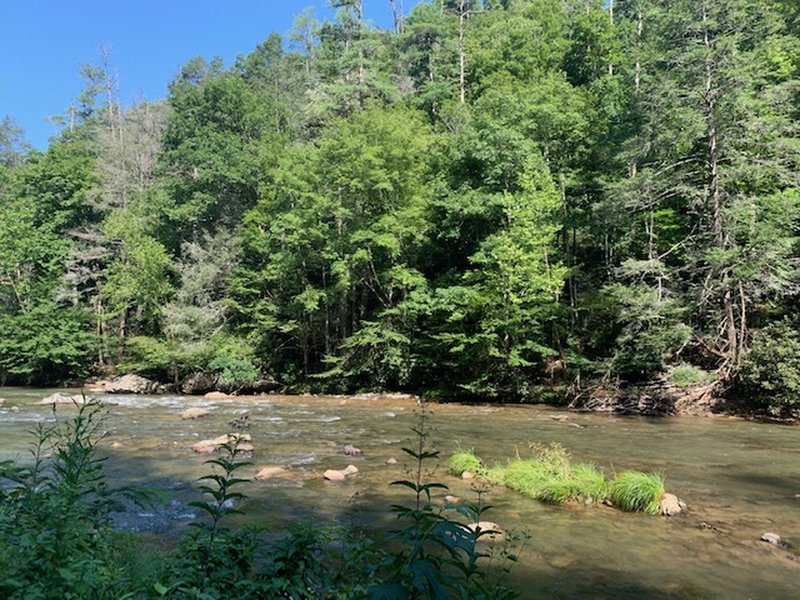 Laurel River Trail