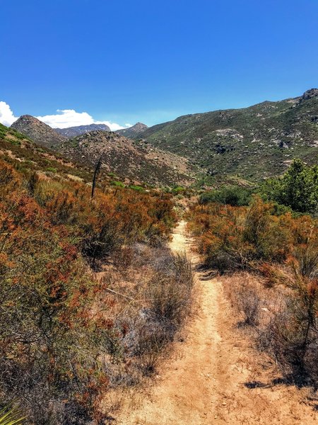 Breaking into more open trail