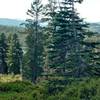 Looking down from the ridge to Wrights Lake.