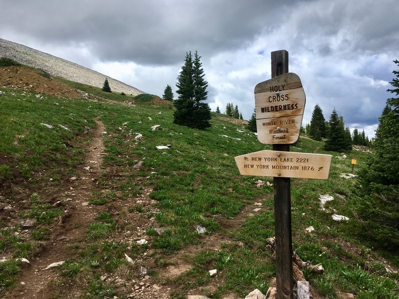 Start of the NY Lake Trail - where it splits off the NY Mountain Trail.