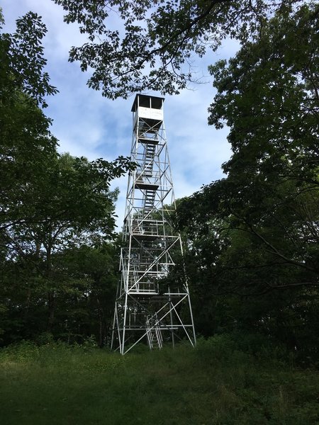 Beebe Hill Fire Tower - climb up for a beautiful 360 view!