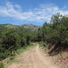 Wolf Creek Canyon doubletrack at the height of summer.