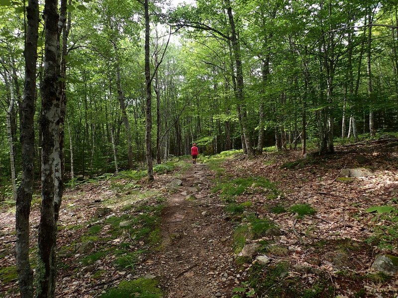 On the Gorge Path past the Kebo Brook Trail.