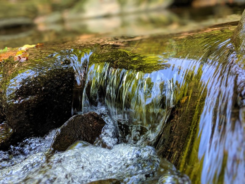 Water feature along the Sawmill Branch Trail.