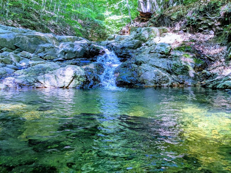 Small cascade and wading pool along the Sawmill Branch.