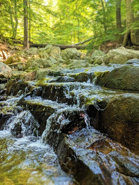 Small waterfall along the Sawmill Branch.