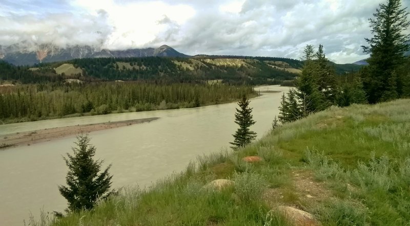 The Athabasca River looking northwest from the Athabasca River Trail. Pyramid Mountain is hidden in the clouds on the left.