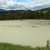 The broad and mighty Athabasca River, looking southwest from atop a knoll along the Athabasca River Trail.