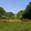 View down the open field right-of-way along the Pigs Run Trail.