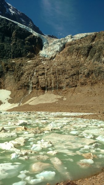 Angel Glacier with small waterfalls of melt water cascading into Cavell Pond with its icebergs.