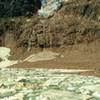 Angel Glacier with small waterfalls of melt water cascading into Cavell Pond with its icebergs.