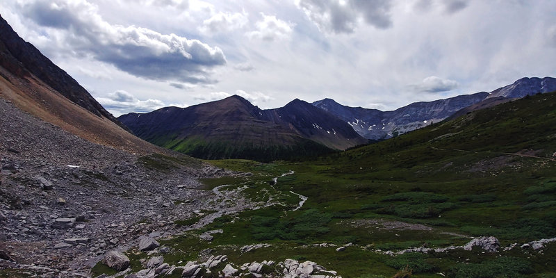 A view of the meadow from the north end of Ptarmigan Cirque Trail.