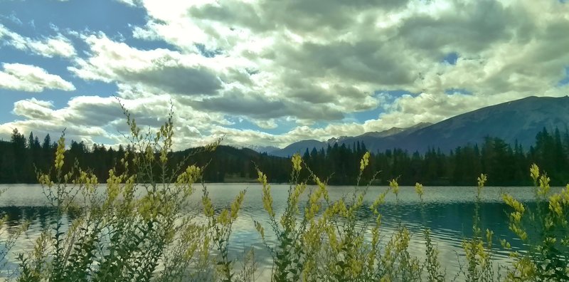 Lac Beauvert and summer wildflowers. Mt. Edith Cavell is in the distance (center) with its summit hidden in clouds. Looking south from Jasper Park Lodge.